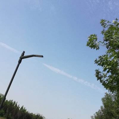 三伏天最该吃的水果是它！比西瓜解暑比荔枝养人，低糖高纤维，全家都能吃